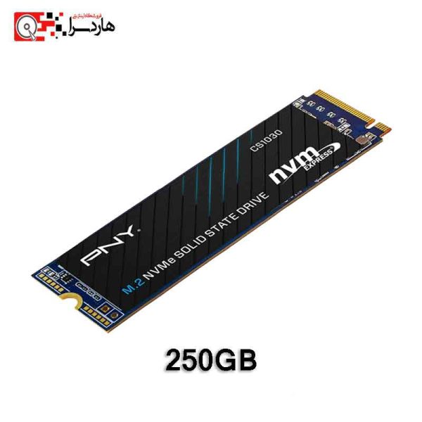 هارد SSD اینترنال پی ان وای مدل CS1030 M.2 ظرفیت 250 گیگابایت - هاردسرا