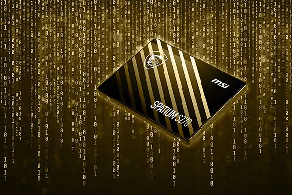 اس اس دی اینترنال ام اس آی مدل SPATIUM S270 ظرفیت 960 گیگابایت (2)