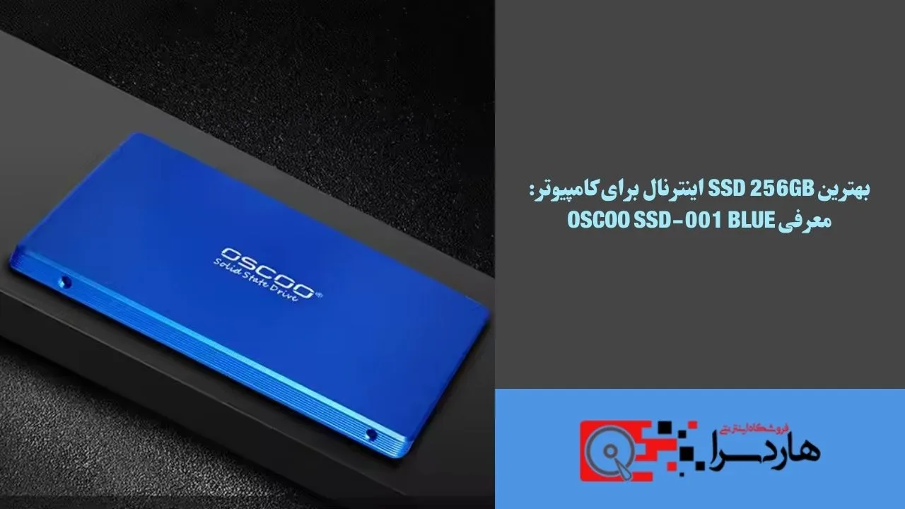 بهترین SSD 256GB اینترنال برای کامپیوتر معرفی OSCOO SSD-001 Blue