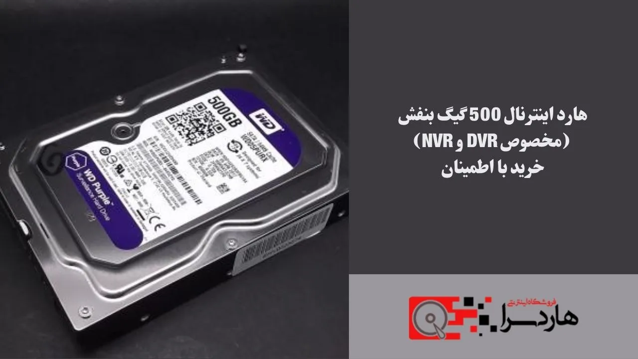 هارد اینترنال 500 گیگ بنفش (مخصوص DVR و NVR) - خرید با اطمینان